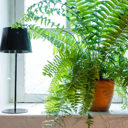 Guestready - Bohemian Mola Orange In Bonfim Apartment Porto